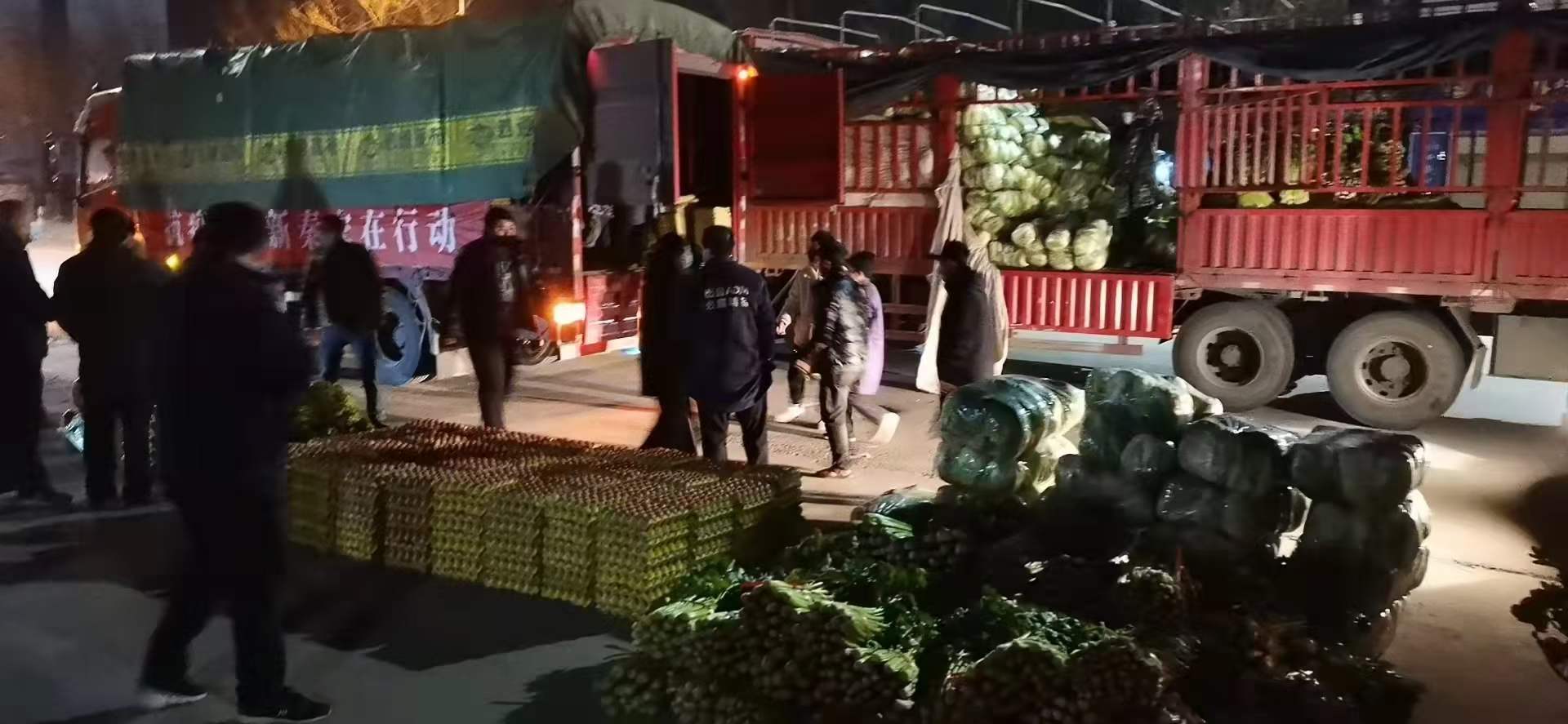 感謝黨和政府對(duì)我公司送來新鮮蔬菜，愿，國無恙，山河永固，加油，西安！